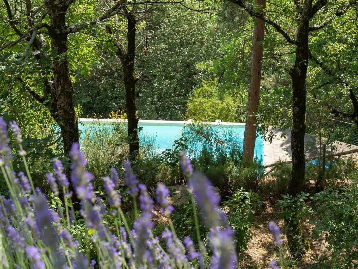 Villa San Leolino By Interhome Londa 0*,  Italy